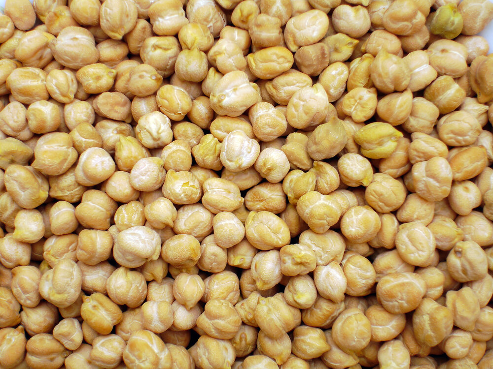 رویاهایی که هرساله شخم میخورند/نخودکرمانشاه درسراشیبی کاهش کیفیت