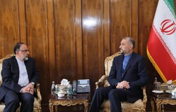 سفیر ایران درسوئد با امیرعبداللهیان دیدار کرد/ توصیه‌های مهم وزیر