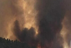آتش‌سوزی گسترده در شهر حیفا در فلسطین اشغالی
