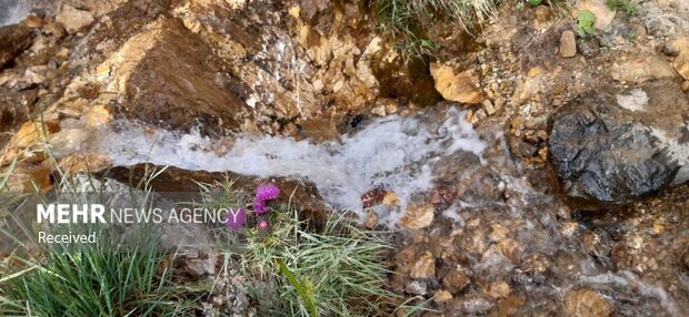 چشمه 7 رنگ شاهرود