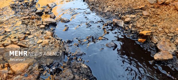 چشمه 7 رنگ شاهرود