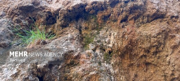 چشمه 7 رنگ شاهرود