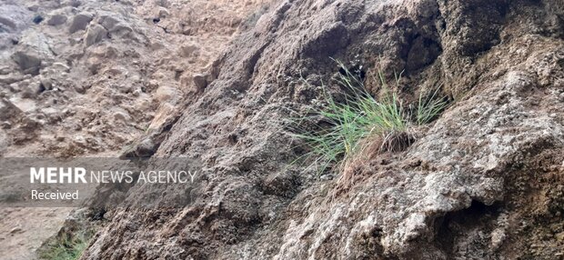 چشمه 7 رنگ شاهرود