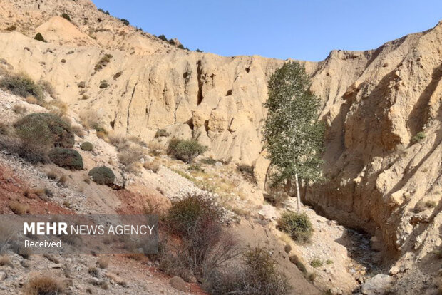 چشمه 7 رنگ شاهرود