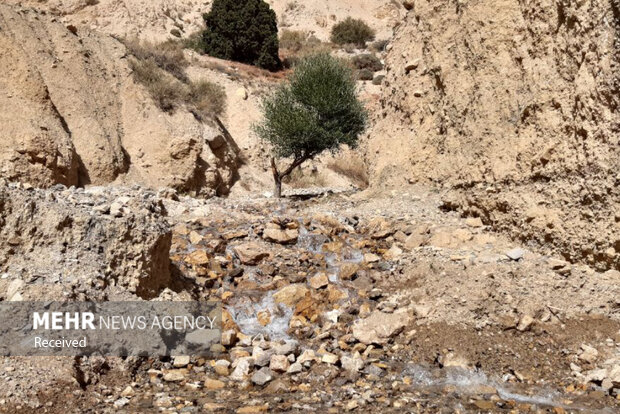 چشمه 7 رنگ شاهرود