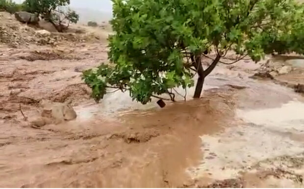 نجات ۱۸ گردشگر در تنگه واشی/وضعیت سیلاب فیروزکوه تشریح شد