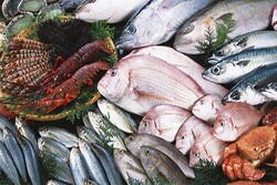 قیمت انواع ماهی و میگو؛ ۱۹ مردادماه ۱۴۰۱/ شوریده ۱۵۰ هزار تومان