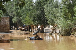 خسارت گسترده سیل در فارسان / مردم از رودخانه‌ها دور شوند