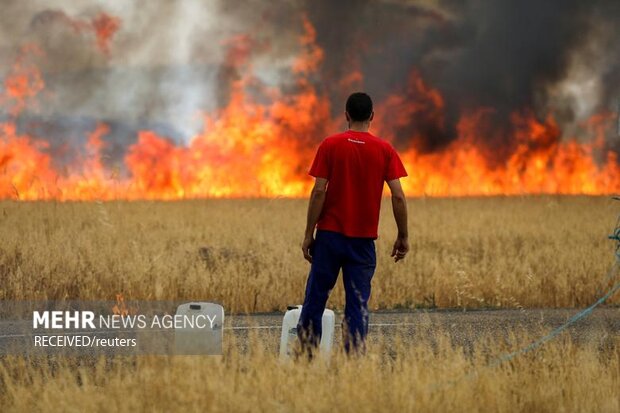 آتش سوزی های گسترده در اروپا در اثر گرمای شدید هوا