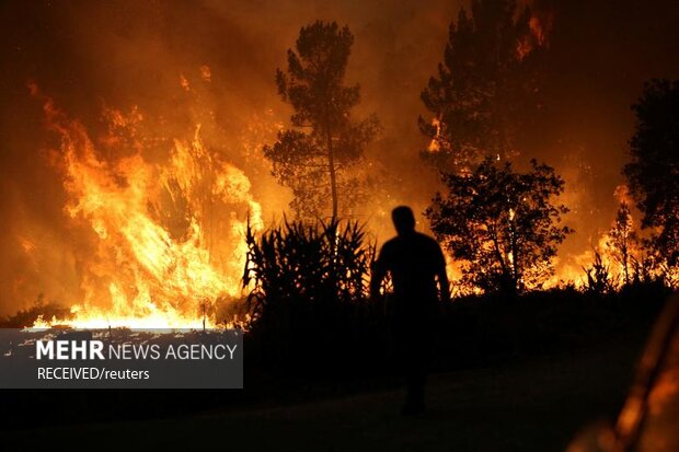 آتش سوزی های گسترده در اروپا در اثر گرمای شدید هوا