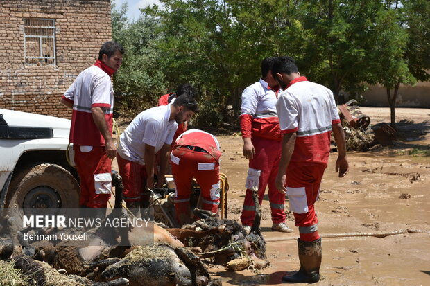 اگر خانههای هلال نبود، تلفات سیلهای اخیر بیشتر بود