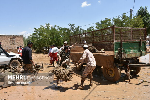 پاکسازی منازل و مساجد اقلید توسط گروه های جهادی پاکسازی منازل و مساجد اقلید توسط گروه های جهادی