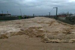 ۱۲۰۰ پل در جاده های کرمان به دلیل سیل آسیب دید