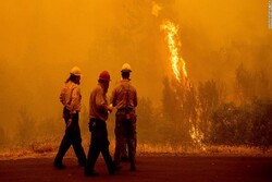 پیشروی آتش‌سوزی‌ها در کالیفرنیا/ ۵۲ هزار هکتار جنگل در آتش سوخت