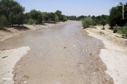 زاینده رود برای کشت پاییزه بازگشایی می‌شود/ واریز بخشی از خسارت کشاورزان اصفهان