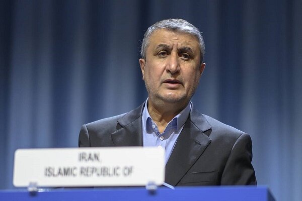 AEOI chief says no unannounced nuclear site, activity in Iran