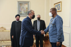 دیدار وزیر امور خارجه با زوولیولیله ماندلا