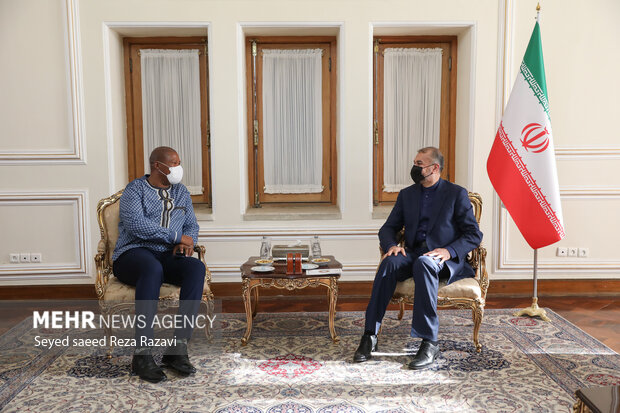 حسین امیرعبداللهیان وزیر امور خارجه ایران 
 در حال گفتگو با زوولیولیله ماندلا نوه نلسون ماندلا است 