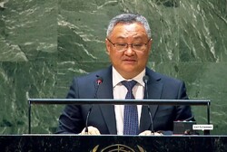 Chinese envoy demands immediate, lasting ceasefire in Gaza