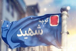 ۱۴ معبر شهری جنوب تهران به نام شهدا نامگذاری شد