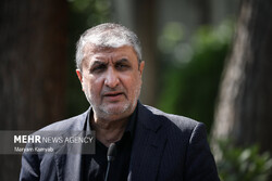 نامه اعتراضی ایران به آژانس / رفتار مدیرکل آژانس بین المللی حرفه‌ای نیست