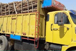 توقیف یک دستگاه کامیون حامل چوب و تنه درخت در لرستان