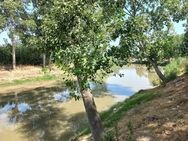 فاجعه زیست محیطی در بابلرود/ زیبایی که دیگر وجود ندارد