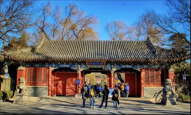 بازار گرمی برترین دانشگاههای دنیا برای «علوم پایه»