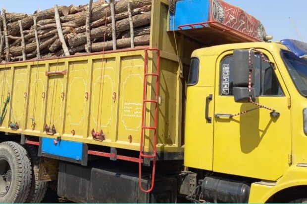 توقیف کامیون حامل ۱۰ تن چوب قاچاق در رومشکان