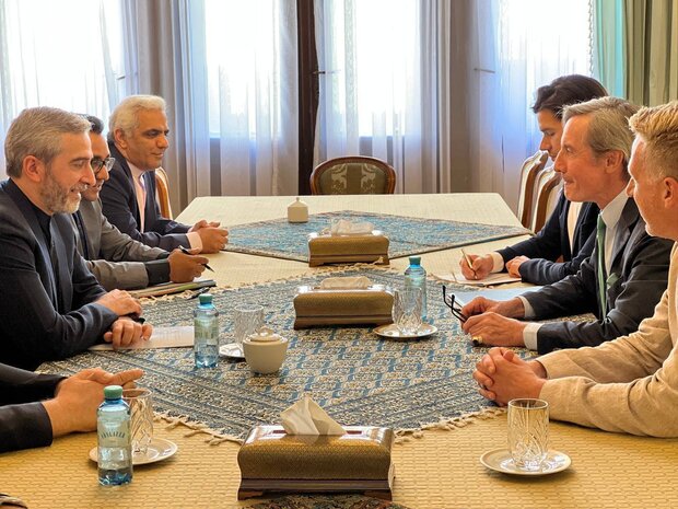 قائم مقام وزارت خارجه اتریش با «علی باقری» دیدار کرد