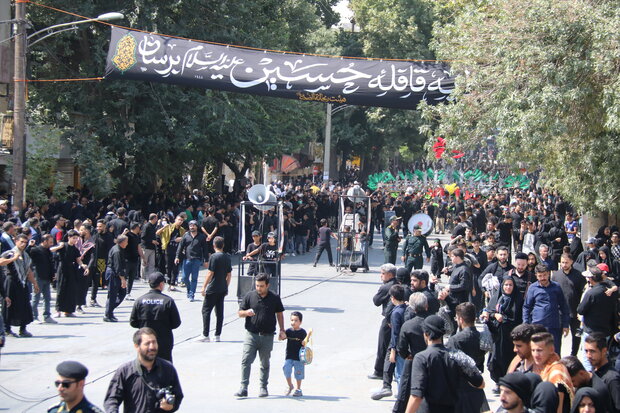  مراسم عزاداری روز تاسوعا در دیار دروازه نجف