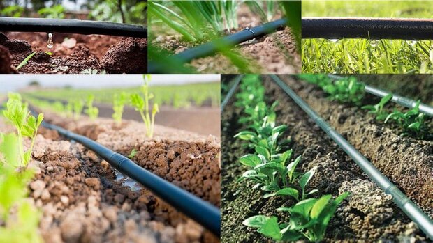 انتقاد معاون آبخیزداری از حکم صادره درباره آبخیزداری