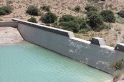 ذخیره ۲۵ میلیون متر مکعب رواناب در سازه‌های آبخیزداری استان بوشهر