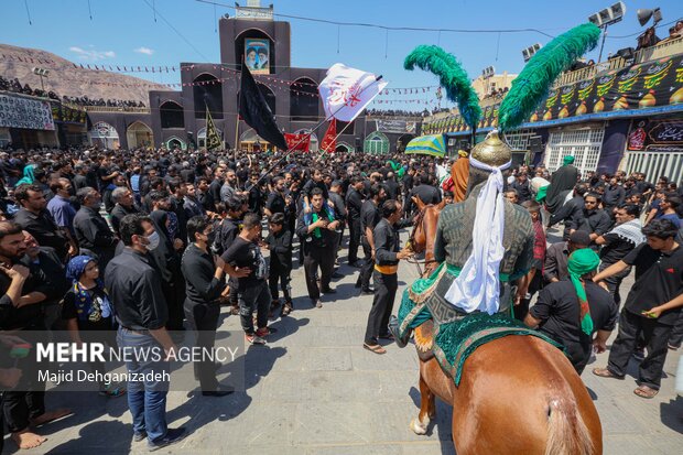 نخل برداری عاشورای حسینی در تفت