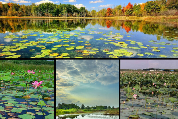 پهنه آبی گیلان در انتظار اعتبار؛ تالاب انزلی از «مونترو» خارج میشود!