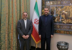 سفير إيران في مالي يلتقي وزير الخارجية الإيراني
