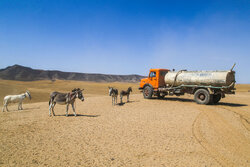 اینفوگرافیک؛ آب شرب ۹۱ روستای خراسان شمالی با تانکر تأمین می‌شود