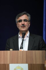Chief Executive of Bank Melli Iran (BMI) Mohammad Reza Farzin