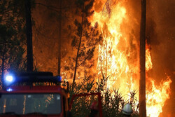 کوه لار و عنا در شهرستان باشت دچار آتش سوزی شد