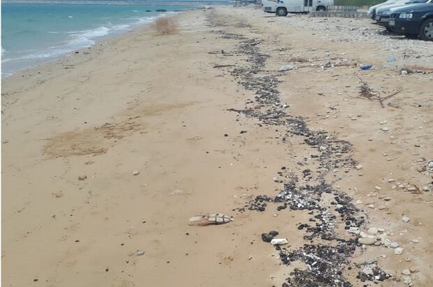 لکه‌های نفتی در ساحل کنگان / پای شناورها و نفتکش‌ها در میان است
