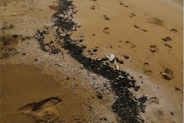 ثبت ۳۸ مورد آلودگی در آب‌های بوشهر/ محیط‌بانی دریایی تقویت شود