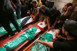 EU calls for probe into Israel’s crimes in Gaza