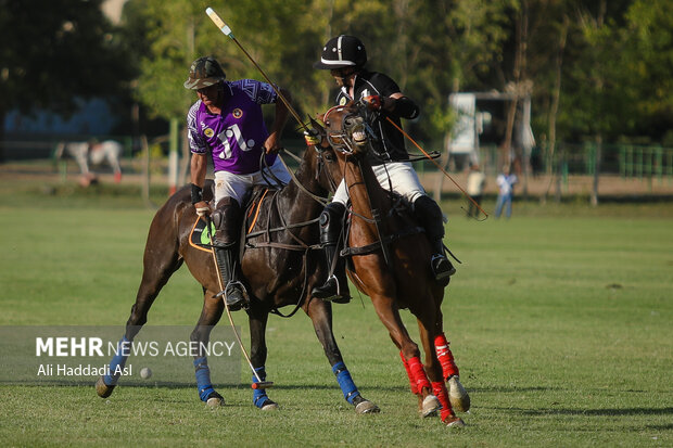 Polo tournament held in Tehran