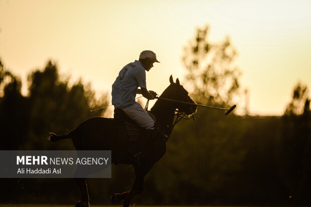 Polo tournament held in Tehran