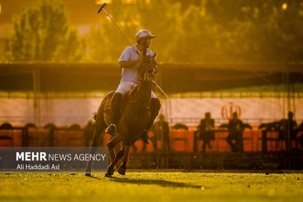 Polo tournament held in Tehran