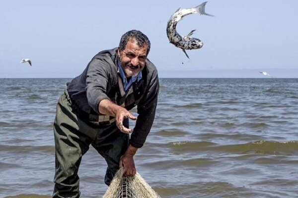 ورود ۷۰ درصد فاضلاب تصفیه نشده به دریای خزر