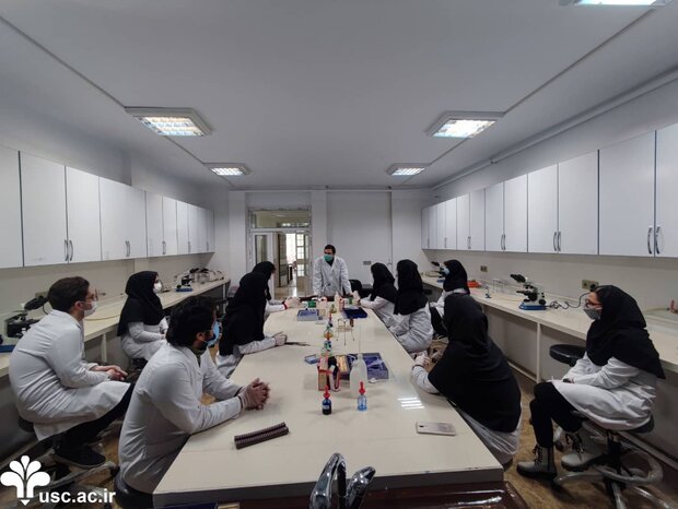 پویایی دانشجویی؛ کیفیت آموزشی در دانشگاه علم و فرهنگ