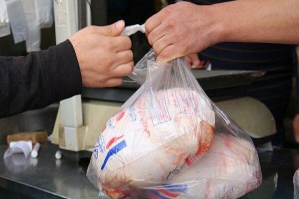مرغ مازاد تولیدی کرمانشاه به عراق صادر می‌شود