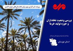 حکایت نخل‌های بی جان/ نخلداران خوزستان نیازمند حمایت دولت