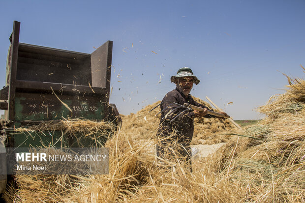 رسم زیبای قوم بختیاری/ «هیاری» دست پنهان انسانیت